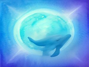 L’étoile de mer et le petit dauphin Lune